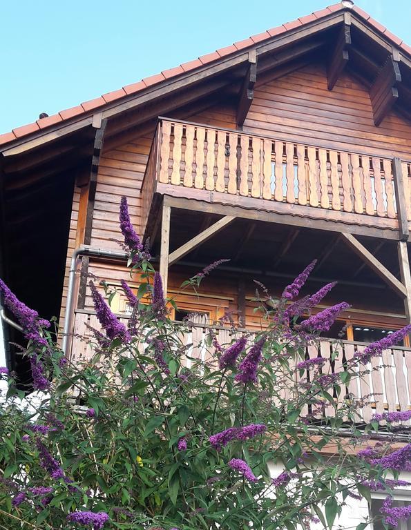 Ferienhaus Berg.Erleben Hilders Extérieur photo